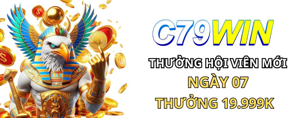 c79win